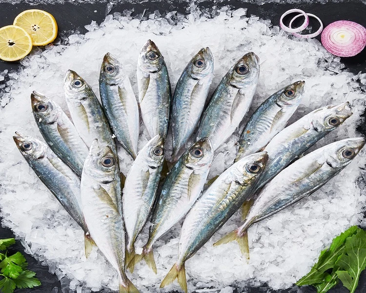 Şanlıurfa İstavrit Balık Satışı